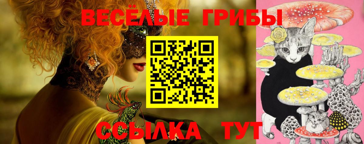 Псилоцибиновые грибы прущие грибы Коломна